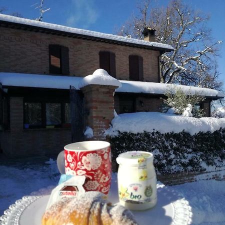 Il Castagneto Bed & Breakfast Camerino Exterior photo