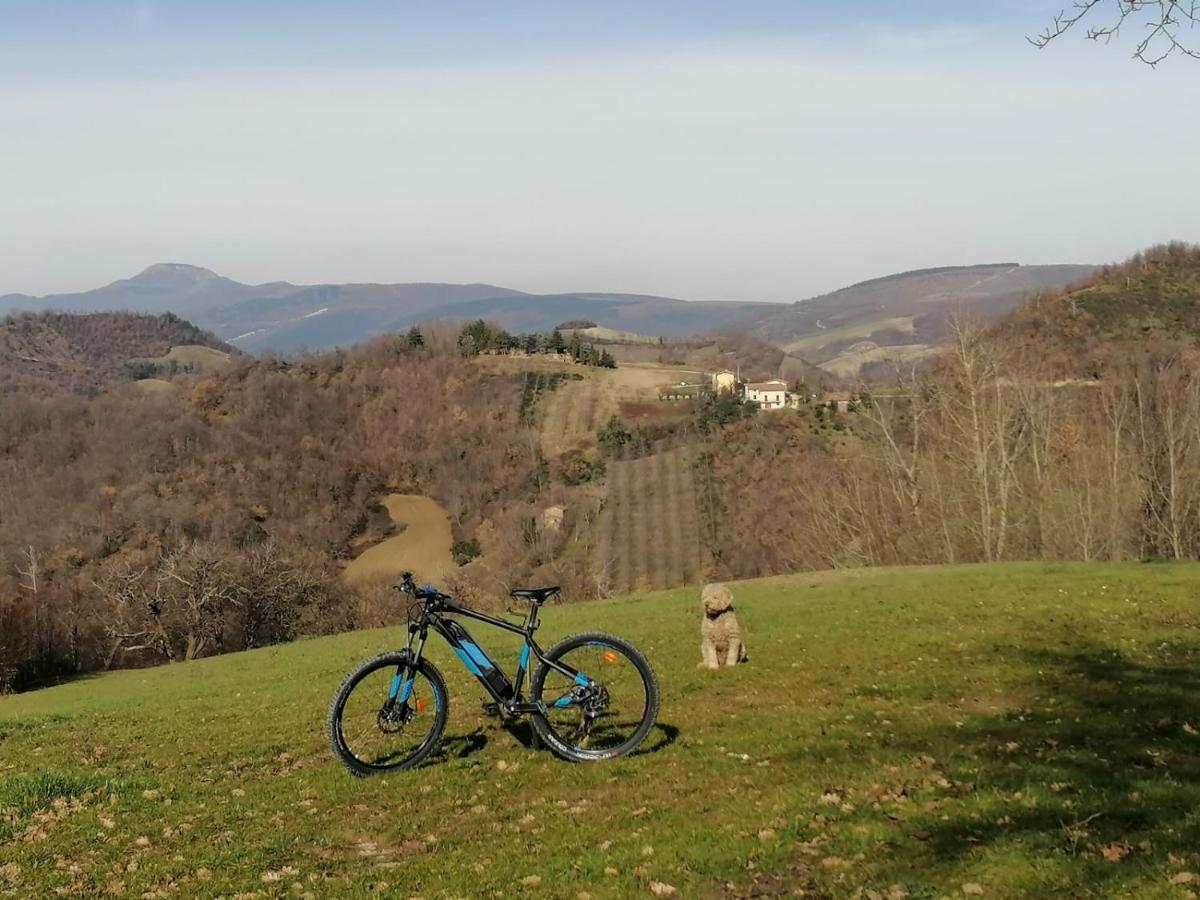 Il Castagneto Bed & Breakfast Camerino Exterior photo