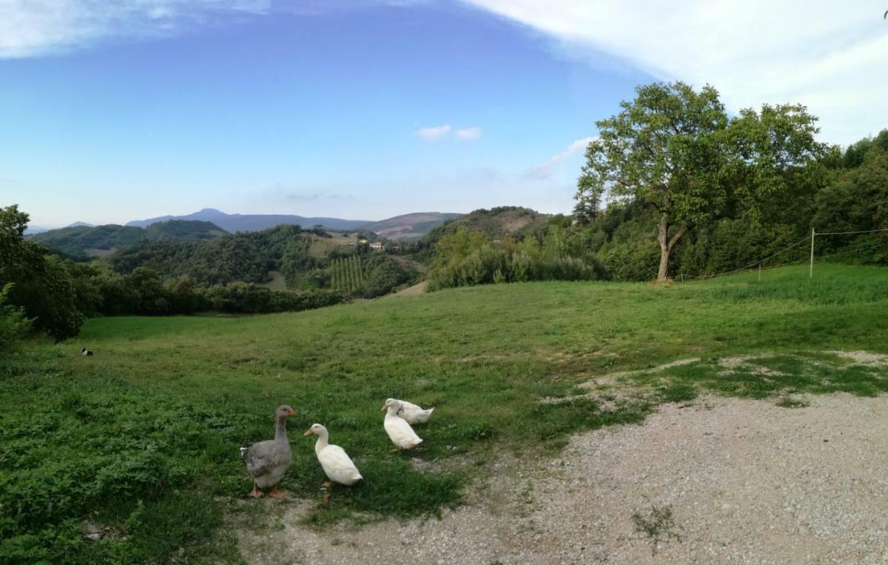 Il Castagneto Bed & Breakfast Camerino Exterior photo