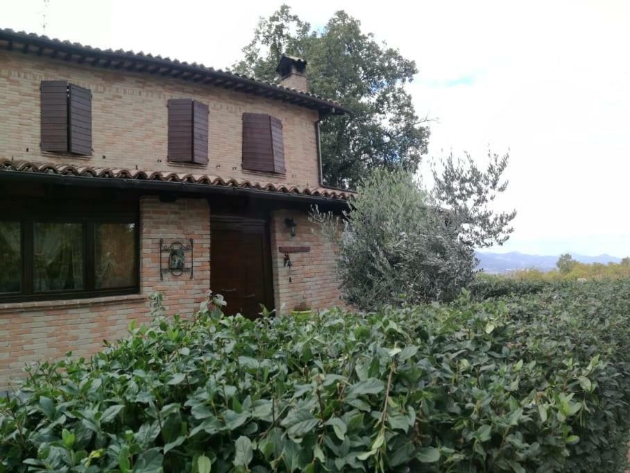 Il Castagneto Bed & Breakfast Camerino Exterior photo